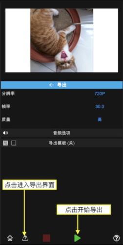 NodeVideo免费版_https://www.itzol.com_摄影图像_第5张