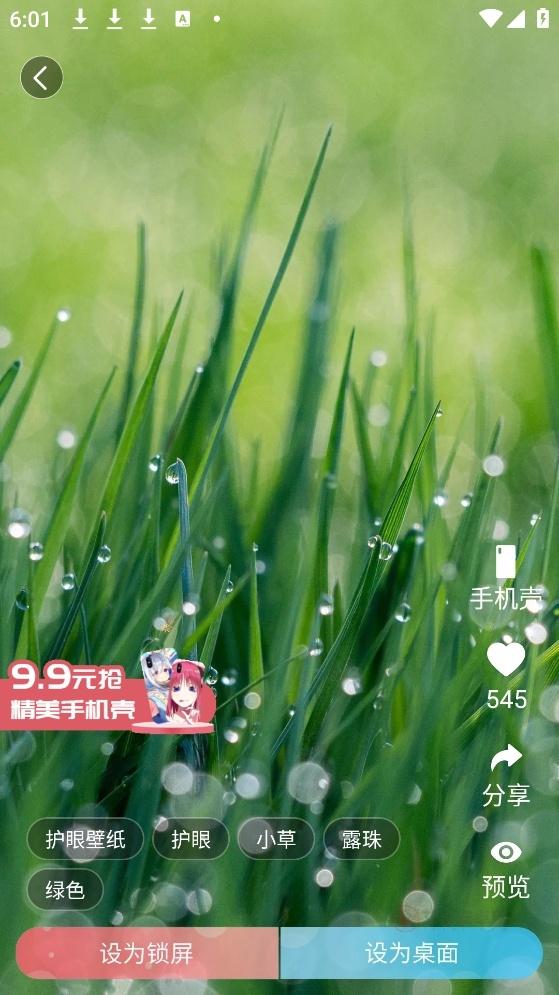 小鸟壁纸手机版_https://www.itzol.com_手机美化_第3张
