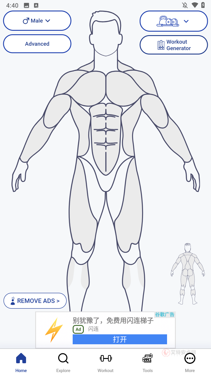 MuscleWiki官方版_https://www.itzol.com_生活服务_第1张