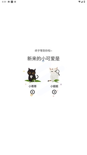 喵趣