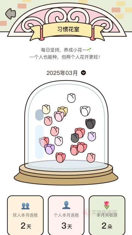 吱吱小岛